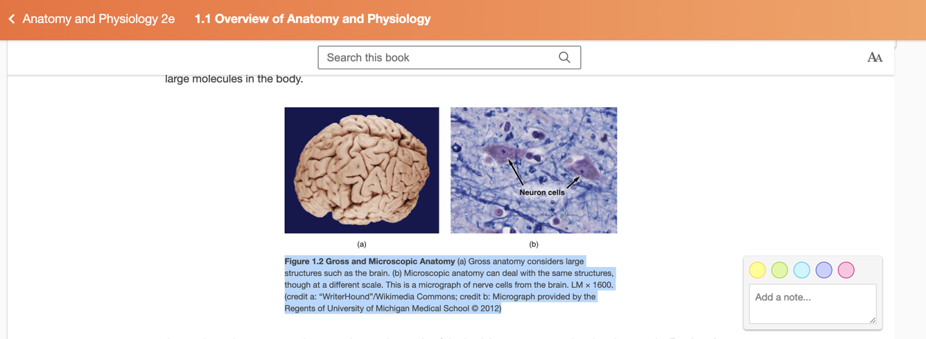 Creating highlights and adding notes on desktop and laptop