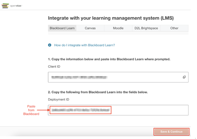 Assignable LTI integration screen with the Deployment ID field and Save and Continue button