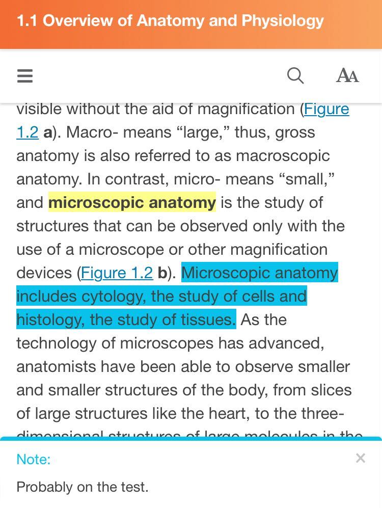 Mobile view of a highlighted passage in Anatomy and Physiology 2e with the attached note open at the bottom of the screen